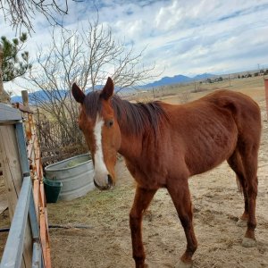 IMG_8289.jpeg IMG_8289.jpeg