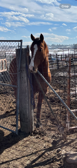 IMG_8317.png IMG_8317.png