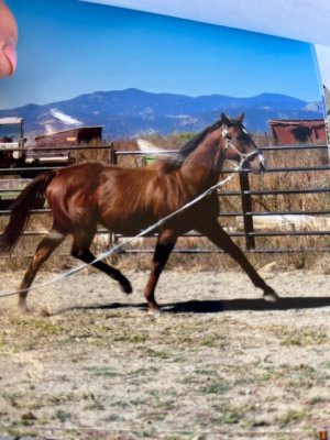 IMG_8315.jpeg IMG_8315.jpeg