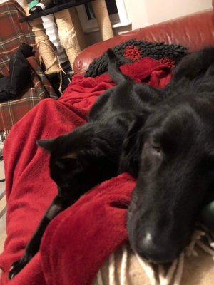 IMG_0893.jpeg IMG_0893.jpeg