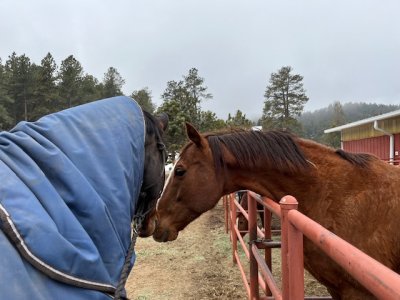 IMG_8349.jpeg IMG_8349.jpeg