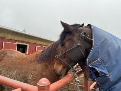 IMG_8345.jpeg IMG_8345.jpeg