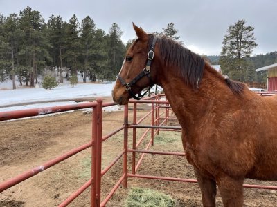 IMG_8339.jpeg IMG_8339.jpeg