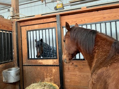 IMG_8375.jpeg IMG_8375.jpeg