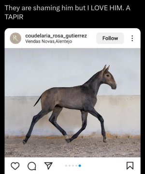 Screenshot_20240218_212953_X.jpg Screenshot_20240218_212953_X.jpg