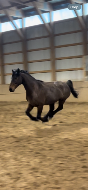 IMG_8443.png IMG_8443.png