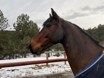 IMG_8434.jpeg IMG_8434.jpeg