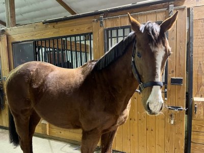 IMG_8440.jpeg IMG_8440.jpeg