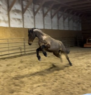 IMG_8438.jpeg IMG_8438.jpeg