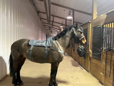 IMG_8430.jpeg IMG_8430.jpeg