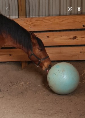 Screenshot_20240219_140230_Gallery.jpg Screenshot_20240219_140230_Gallery.jpg