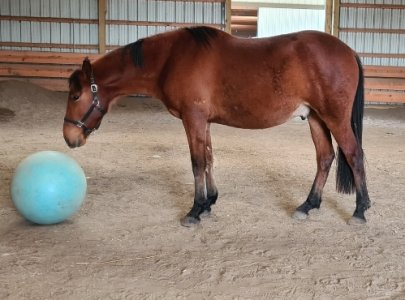 Screenshot_20240219_140328_Gallery.jpg Screenshot_20240219_140328_Gallery.jpg