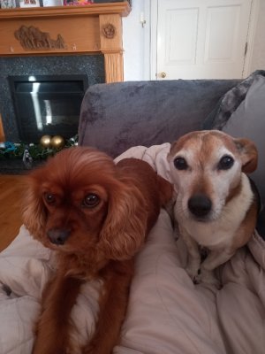 20240103_100758_resize_25.jpg 20240103_100758_resize_25.jpg