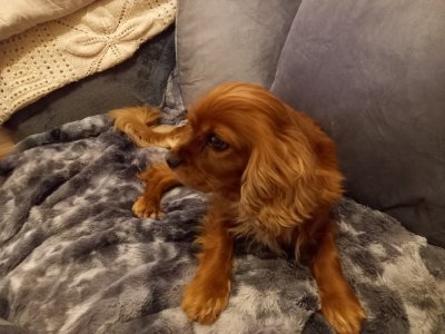 20240216_203200_resize_53.jpg 20240216_203200_resize_53.jpg