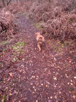 20231128_153842_resize_50.jpg 20231128_153842_resize_50.jpg