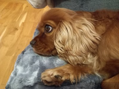 20240216_203605_resize_97.jpg 20240216_203605_resize_97.jpg