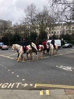Natt Peter Hyde Park PHOTO-2024-02-20-18-02-59.jpg