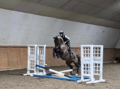 428647867_10160263481852759_7604486231995924920_n.jpg 428647867_10160263481852759_7604486231995924920_n.jpg