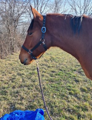 Screenshot_20240222_150915_Gallery.jpg Screenshot_20240222_150915_Gallery.jpg