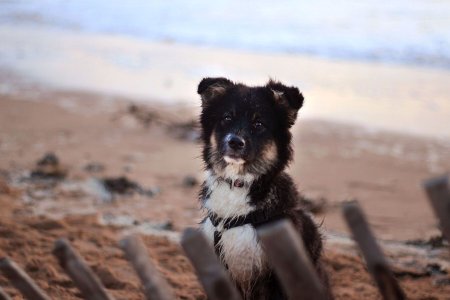 IMG_9086(5).jpg IMG_9086(5).jpg