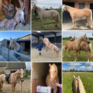 EC522323-0603-4A6F-8F61-0B373452F1CF.jpeg EC522323-0603-4A6F-8F61-0B373452F1CF.jpeg