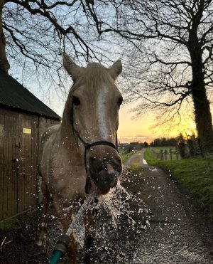 IMG_6468.jpeg IMG_6468.jpeg