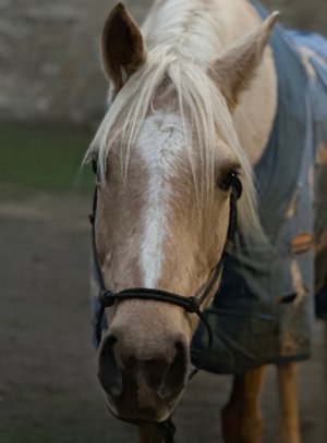 IMG_4305.jpeg IMG_4305.jpeg