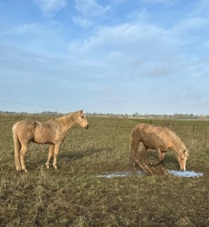 IMG_1282.jpeg IMG_1282.jpeg