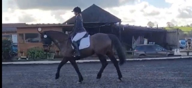 7447FE5F-23D7-43B0-8718-A51FB78A37C5.jpeg 7447FE5F-23D7-43B0-8718-A51FB78A37C5.jpeg