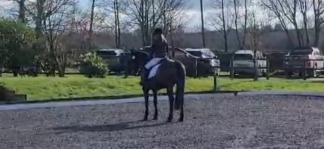 F7921CB5-4E97-4613-82C9-D16D6B3E08AC.jpeg F7921CB5-4E97-4613-82C9-D16D6B3E08AC.jpeg