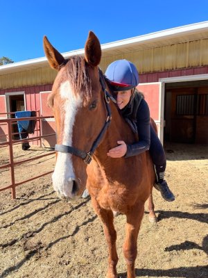 IMG_8612.jpeg IMG_8612.jpeg