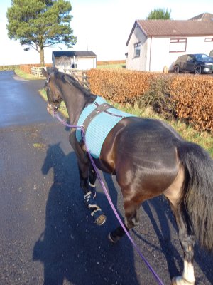 e4465013-1693-48e2-85fe-3eea280d063e.jpeg e4465013-1693-48e2-85fe-3eea280d063e.jpeg