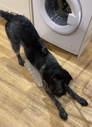 CBD31CA4-526A-4312-ABDA-281F84DC537F.jpeg CBD31CA4-526A-4312-ABDA-281F84DC537F.jpeg