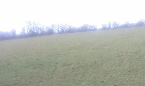 IMG_20240228_092410.jpg IMG_20240228_092410.jpg