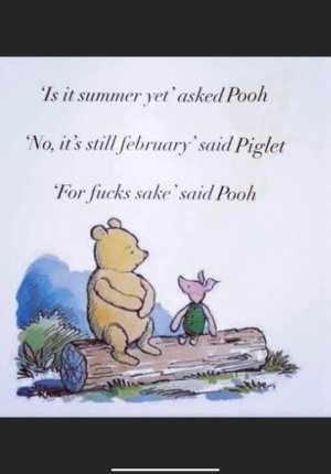 pooh bear.jpg