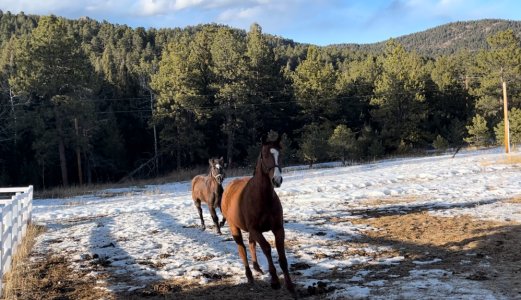 IMG_8687.jpeg IMG_8687.jpeg