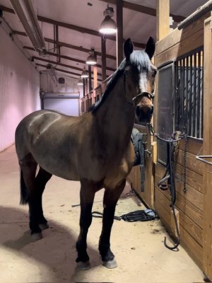 IMG_8690.jpeg IMG_8690.jpeg