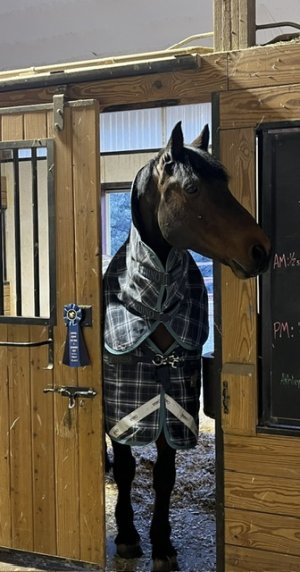 IMG_8689.jpeg IMG_8689.jpeg