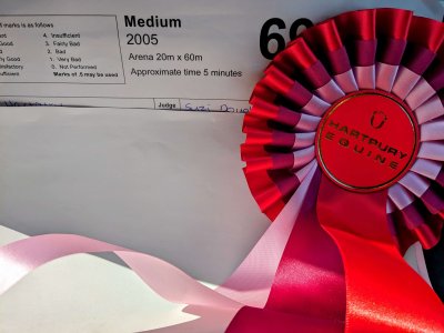 47e885f75acd204b127a626d9a25a31fd8458c54d24ba9ff678741b5e3313944 - instasize.jpg 47e885f75acd204b127a626d9a25a31fd8458c54d24ba9ff678741b5e3313944 - instasize.jpg