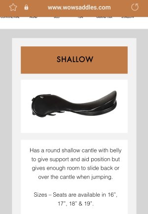 Screenshot_20240304_215825_Samsung Internet.jpg Screenshot_20240304_215825_Samsung Internet.jpg