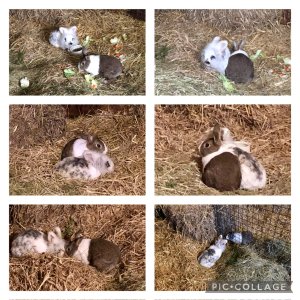 IMG_0376.jpeg