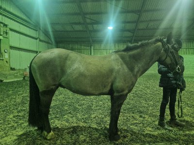 20240305_191544.jpg 20240305_191544.jpg