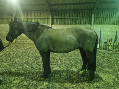 20240305_191557.jpg 20240305_191557.jpg