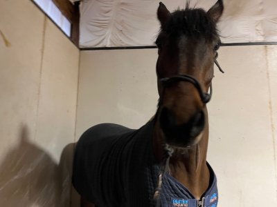 IMG_8735.jpeg IMG_8735.jpeg