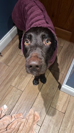 3F064388-2441-47D2-8DB5-495103A8C50F.jpeg 3F064388-2441-47D2-8DB5-495103A8C50F.jpeg