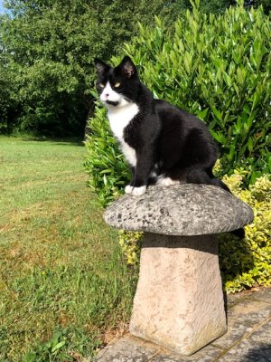 C78F5800-4CFB-4289-A434-0782D45049A9.jpeg C78F5800-4CFB-4289-A434-0782D45049A9.jpeg