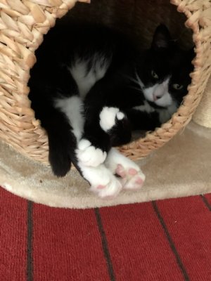 82C1DF4C-0E38-4817-B42E-BDB01F250D27.jpeg 82C1DF4C-0E38-4817-B42E-BDB01F250D27.jpeg