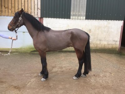 18402685_10158503185280618_2877382471374848047_n.jpg 18402685_10158503185280618_2877382471374848047_n.jpg