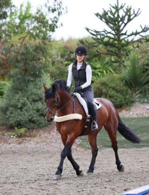 292097226_10166041655160618_3060537209658897500_n.jpg 292097226_10166041655160618_3060537209658897500_n.jpg