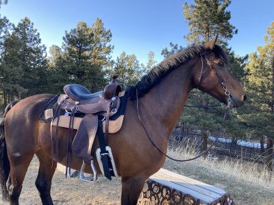 339113490_901649257711207_3254748445184941883_n.jpg 339113490_901649257711207_3254748445184941883_n.jpg